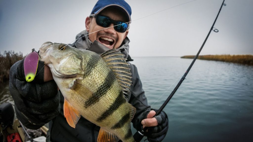 Utilize Technology for a Better Fishing Experience