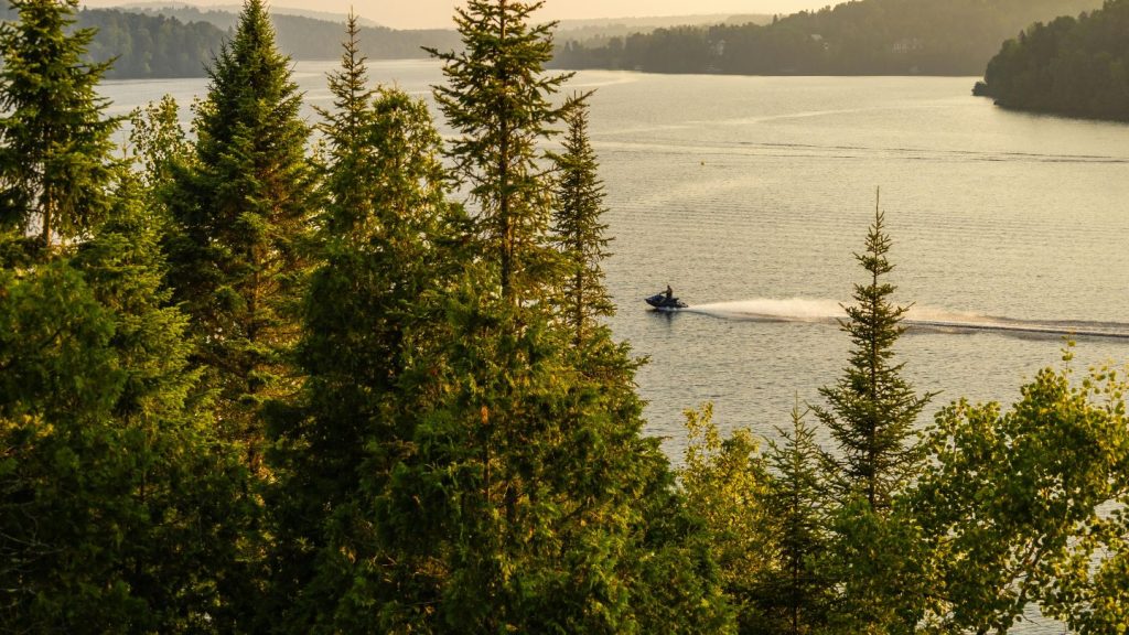 Jet Ski On Lake Surrounded By Green Trees
