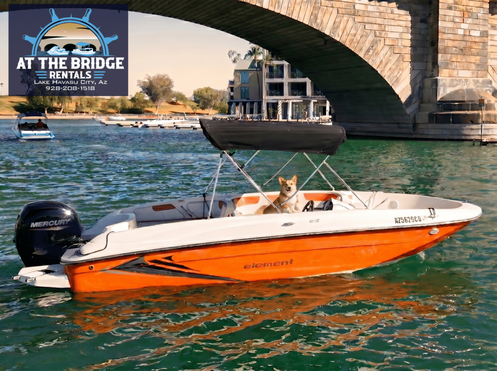 Pontoon vs speedboat